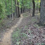 Scotts Gap Loop Trail, Kentucky - 1,037 Reviews, Map | AllTrails