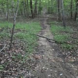 Scotts Gap Loop Trail, Kentucky - 1,037 Reviews, Map | AllTrails