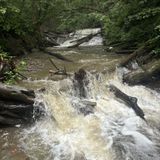 Reynolds Gully Falls, New York - 143 Reviews, Map | AllTrails