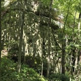 Sand Cave and White Rocks via Ewing Trail, Virginia - 1,217 Reviews ...
