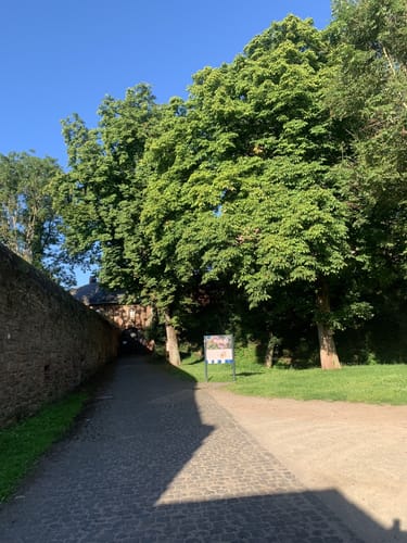 Felsenrundgang Nideggen Teil II