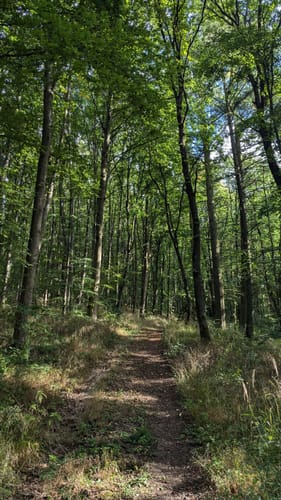 Treis a.d. Lumda: Totenberg und Leidenhöfer Kopf