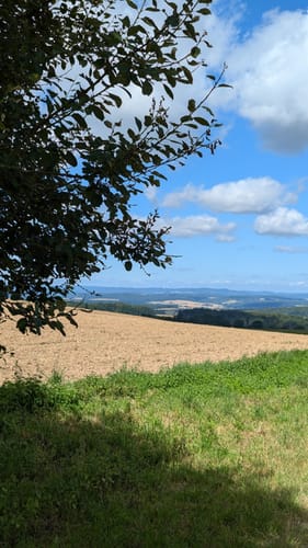 Treis a.d. Lumda: Totenberg und Leidenhöfer Kopf