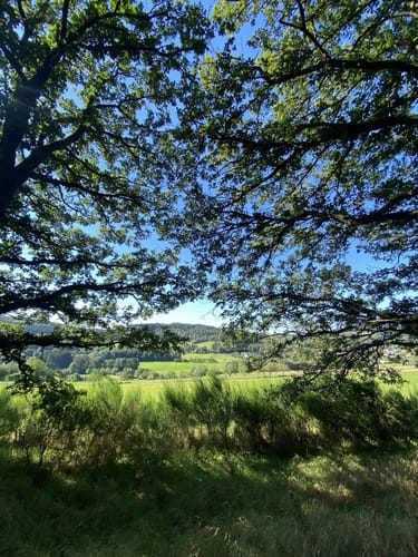 Ruwer-Hochwald-Schleife (Traumschleife)