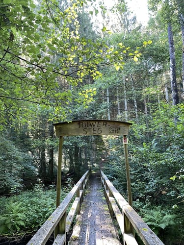 Ruwer-Hochwald-Schleife (Traumschleife)