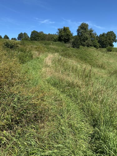 Ruwer-Hochwald-Schleife (Traumschleife)