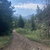 Walker Ranch Loop, Colorado - 5,147 Reviews, Map | AllTrails