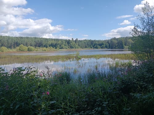 Pegnitzauen