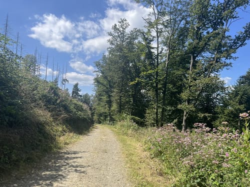Wendmühle Rundweg A2