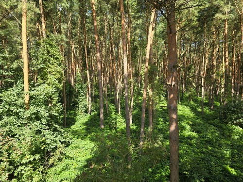 Radtour um den Kummerower See