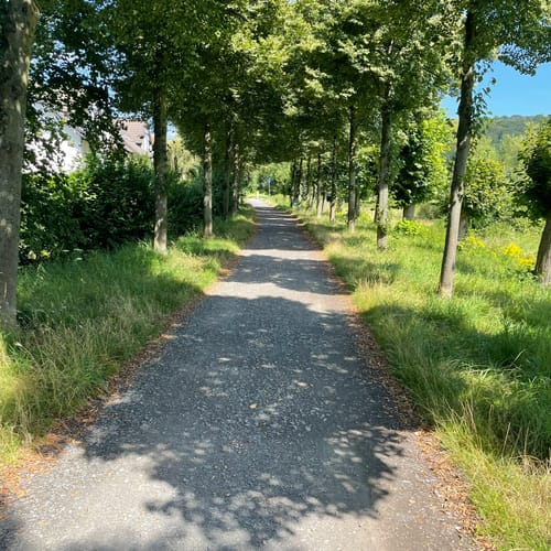 Natursteig Sieg Etappe 2: Hennef - Blankenberg
