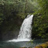 Kalama Falls Trail, Washington - 700 Reviews, Map | AllTrails