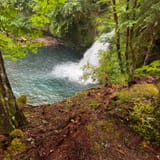 Kalama Falls Trail, Washington - 700 Reviews, Map | AllTrails