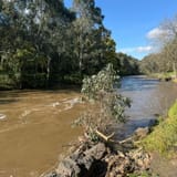 Galatea Point & Dights Falls Loop, Victoria, Australia - 416 Reviews ...
