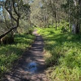 Galatea Point & Dights Falls Loop, Victoria, Australia - 416 Reviews ...