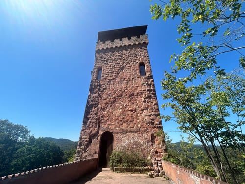 Burg Berwartstein - Seehofweiher - Klein Frankreich