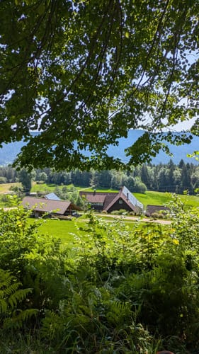 Vom Alisehof auf den Kupferberg