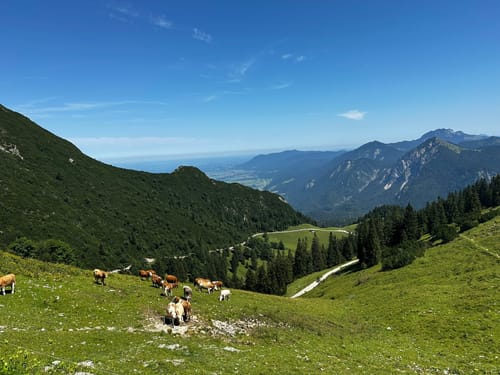 Herzogstand und Heimgarten