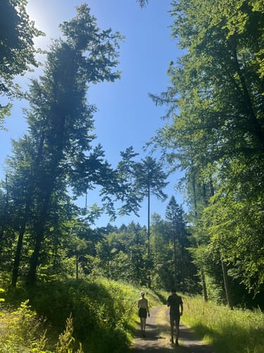 Lehwaldweg