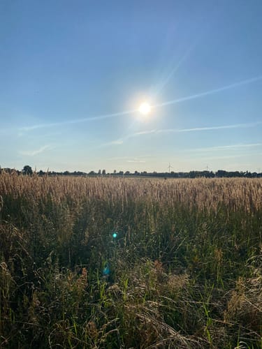 Ahrensfelde Rundweg