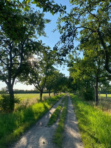Ahrensfelde Rundweg