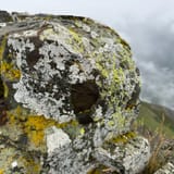 Bird Ridge Trail, Alaska - 1,149 Reviews, Map | AllTrails