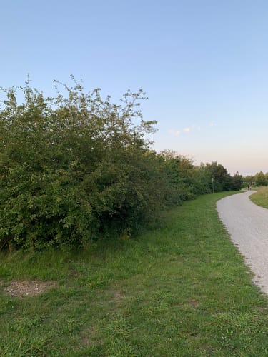 Am Hollerner See