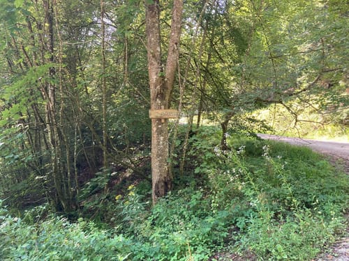 Höfen (Enz) - Bad Wildbad