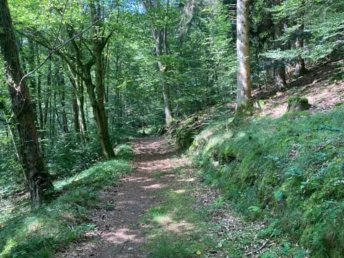 Höfen (Enz) - Bad Wildbad