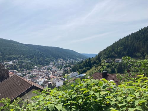 Höfen (Enz) - Bad Wildbad