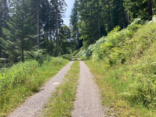 Höfen (Enz) - Bad Wildbad