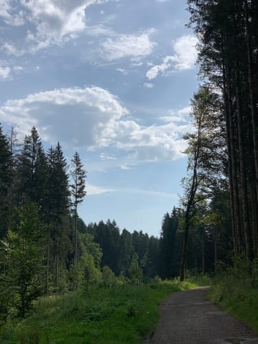 Waldachtaler Wellnessweg, Gesundheitsweg Nr. 1