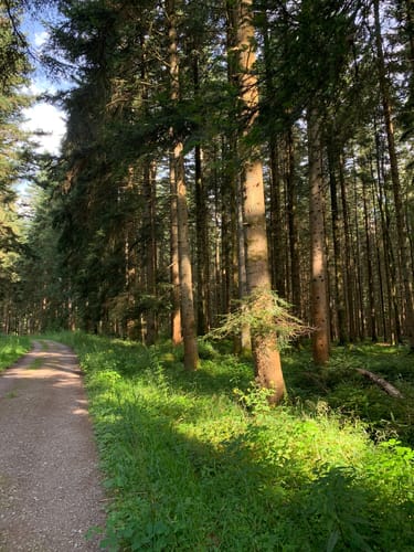 Waldachtaler Wellnessweg, Gesundheitsweg Nr. 1