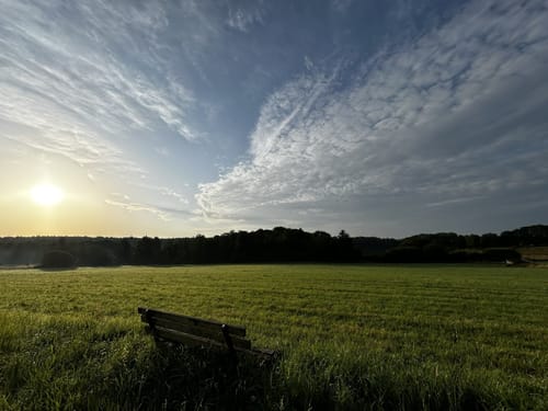 Rund um den Brinkeweiher