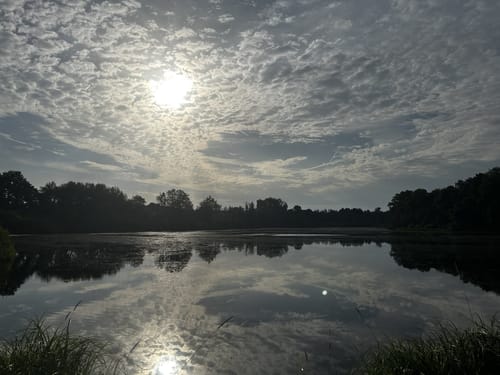Rund um den Brinkeweiher
