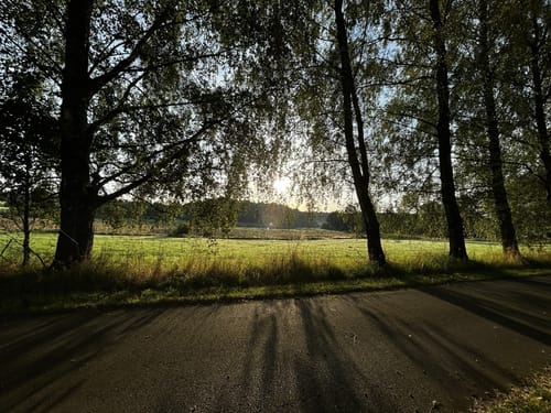 Rund um den Brinkeweiher