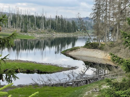 Rundwanderweg Oderteich