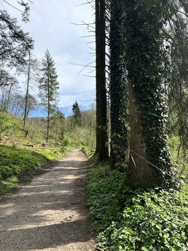 Herrenstrunden Bergisch-Gladbach Rundweg
