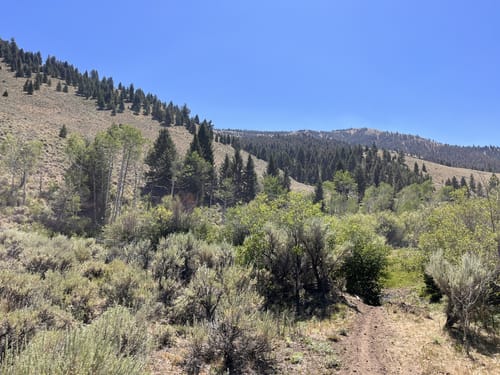 Anarcho Bowl／AC-003【Mountain Research】 10 Best hikes and trails in BLM: Challis Field Office