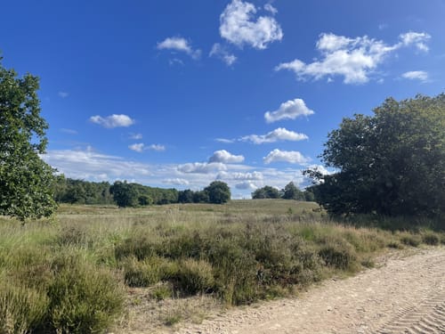 De Meinweg: Venhof - Herkenbosscherheide - Meinfeld