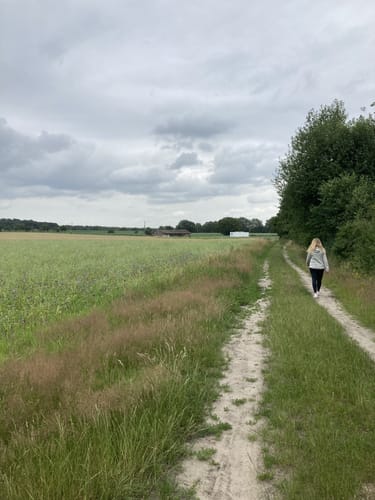 Hermann-Löns-Wanderweg um Brokeloh