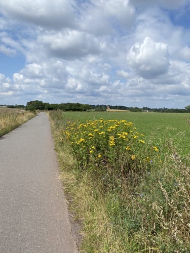 Darmstadter Oberfeldweg