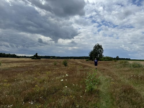 Südheide 'Wacholderwald in der Teufelsheide' W1l (lange Tour)