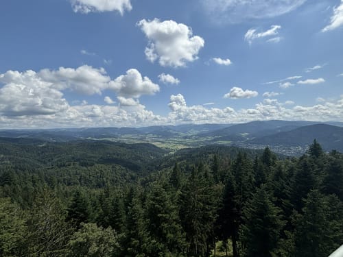 Schwabentor - Roßkopf - Bismarckturm