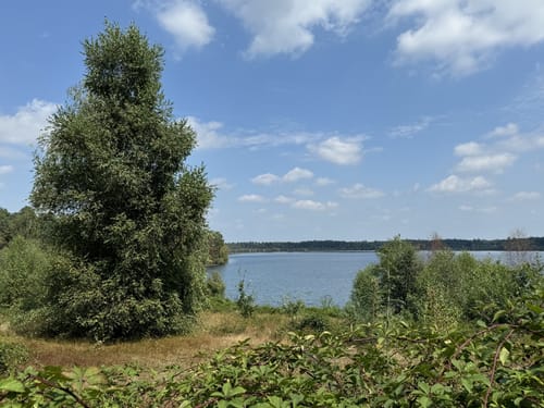 Maasduinen Fietsroute