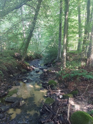 Venne: Mühleninsel - Eisenzeithaus - Steinkreis