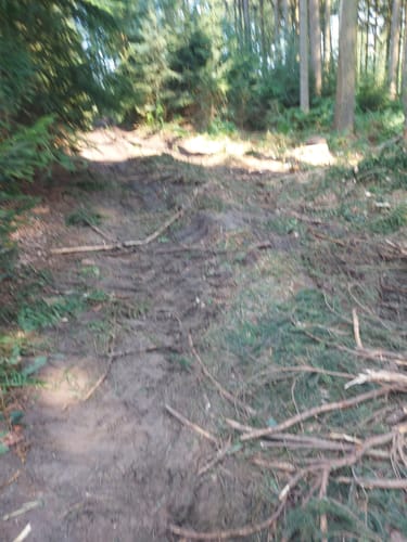 Venne: Mühleninsel - Eisenzeithaus - Steinkreis