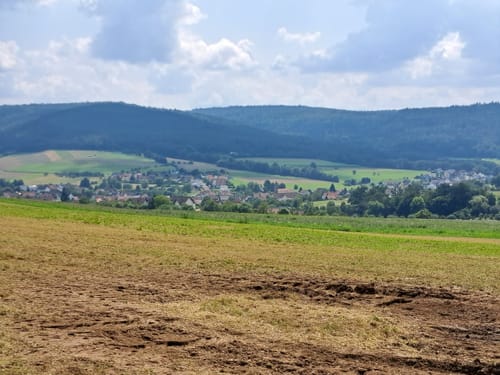 Rundwanderweg Kleinkahl: Schwarzer Fuchs