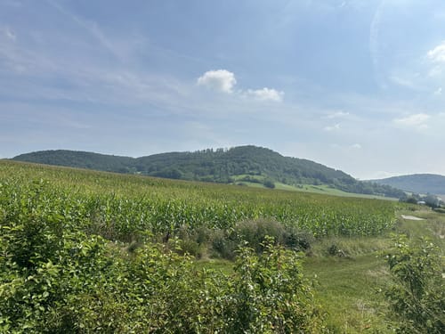Großer Kanonenbahnlauf (15,4 km, 2022)