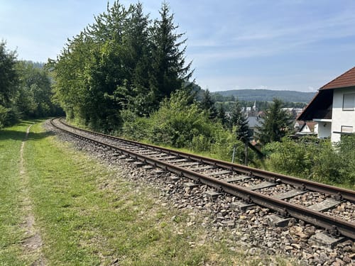 Großer Kanonenbahnlauf (15,4 km, 2022)